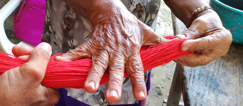 Elia midiendo un lampazo